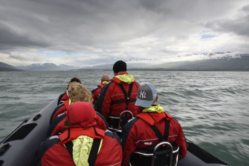 Akureyri: 2-Hour Whale Watching Express by RIB Speedboat - FAQ