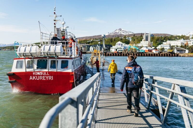 Akureyri: 3-Hour Classic Whale Watching Tour by Ship - The Big Show: Whale Sightings and Wildlife