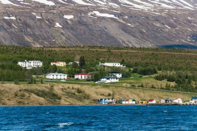 Akureyri: 3-Hour Classic Whale Watching Tour by Ship - Who Will Love This Experience?