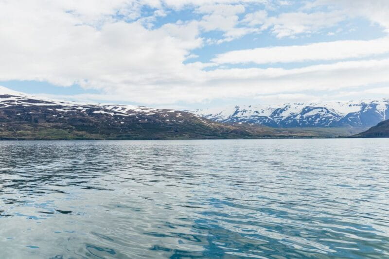 Akureyri: 3-Hour Classic Whale Watching Tour by Ship - Practical Tips for Your Whale Watching Trip