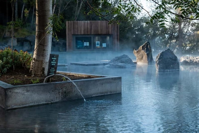 Akureyri: Northern Lights Hunt with Forest Lagoon Entry - Price and Value