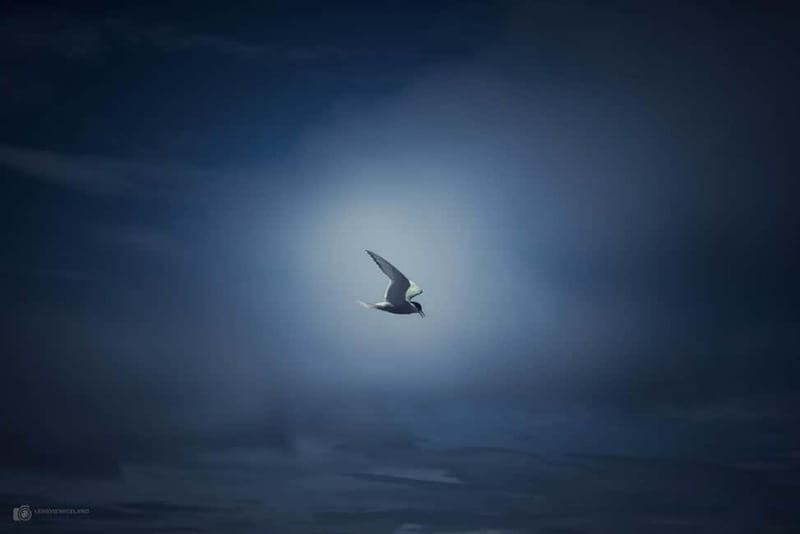 Akureyri: Private Photo tour - Why This Experience Offers Good Value