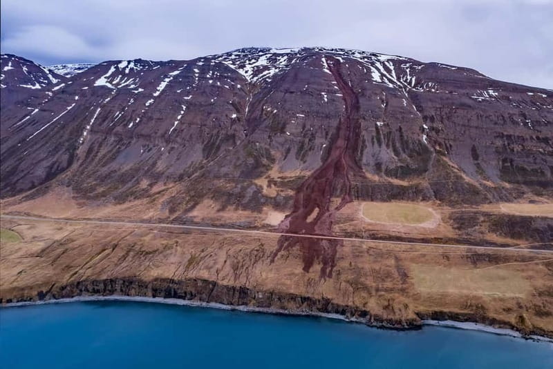 Akureyri: Private Whale Watching and Arctic Coastline Tour - Key points / Takeaways