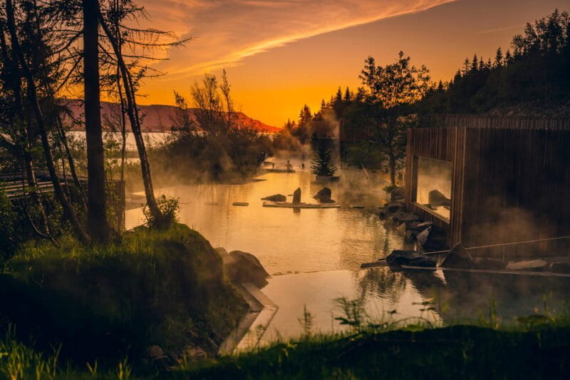 Akureyri: Whale Watching Tour & Forest Lagoon Entrance - Detailed Review of the Akureyri Whale Watching & Forest Lagoon Experience