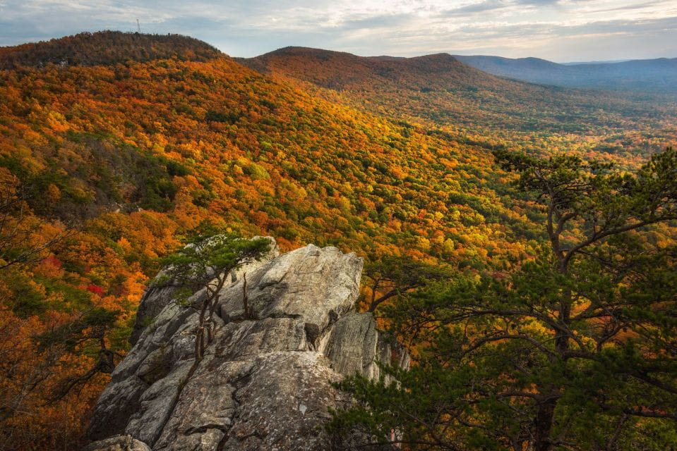 Alabama: Anniston and East Central Multi-Attraction Pass - Ticketing and Entry