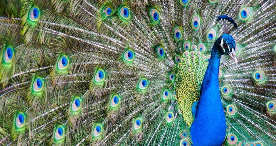 Alabama: Gulf Shores/Orange Beach Area Multi-Attraction Pass - Attractions Included