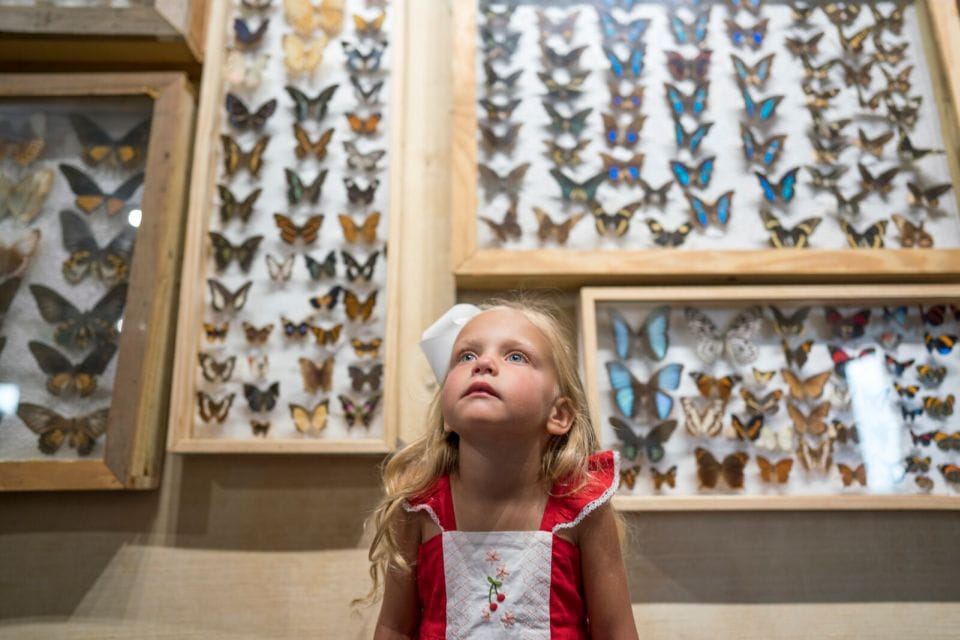 Alabama: Gulf Shores/Orange Beach Area Multi-Attraction Pass - Selection Options