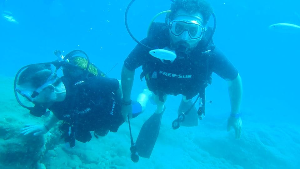 Alanya: 2 Guided Scuba Dives With Lunch and Hotel Transfers - Key Points