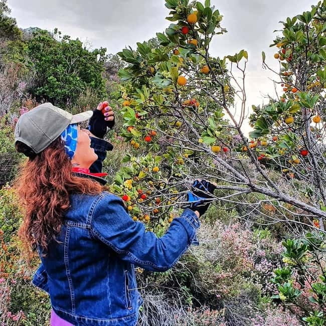 Alanya City Tour & Dimçay River Experience with Lunch - Exploring Alanya in Depth: What to Expect