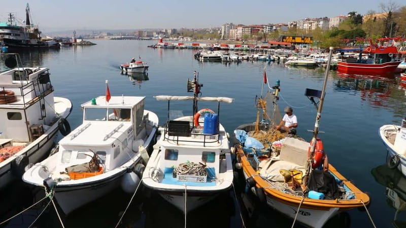 Alanya: Fishing Tour with Lunch and Hotel Transfers - Price and Logistics: Worth the Cost?