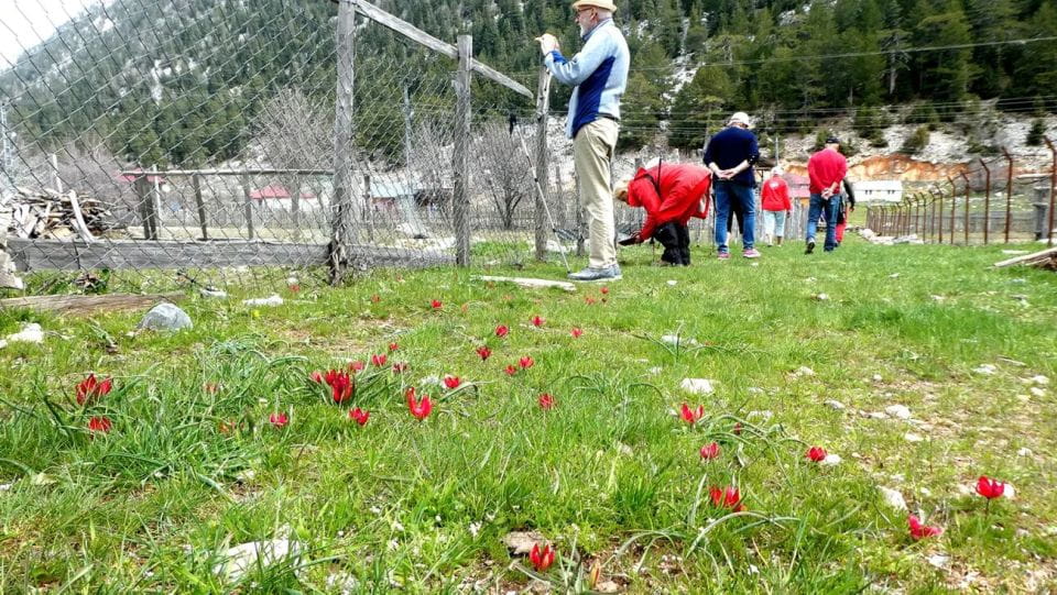 Alanya Hiking Tour - Customizable VIP Tours