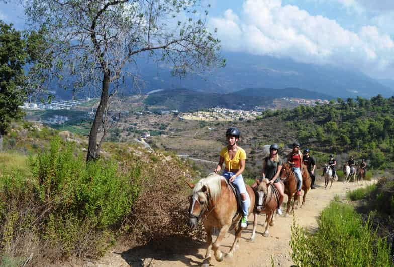 Alanya: Horse Riding Club Transfer Service - Discovering Alanya on Horseback: A Practical Review of the Horse Riding Club Experience
