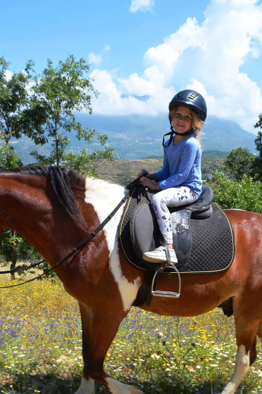 Alanya: Horse Riding Club Transfer Service - Key points / Takeaways