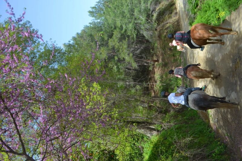 Alanya: Horse Riding Club Transfer Service - The Foam Party and Relaxing Finish