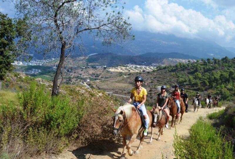 Alanya: Horse Riding Club Transfer Service - Price and Value: Is It Worth It?