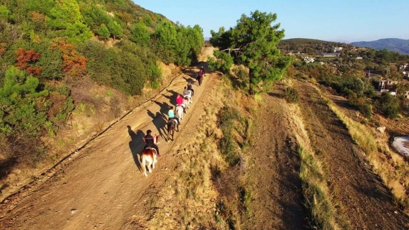 Alanya: Horse Riding Club Transfer Service - Final Thoughts: Why It’s Worth Considering