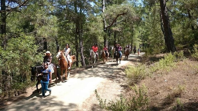 Alanya: Horseback Ride Through Nature near Syedra Ruins - Key Points / Takeaways