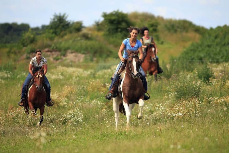 Alanya: Horseback Ride Through Nature near Syedra Ruins - The Itinerary Breakdown: What Makes Each Stop Special