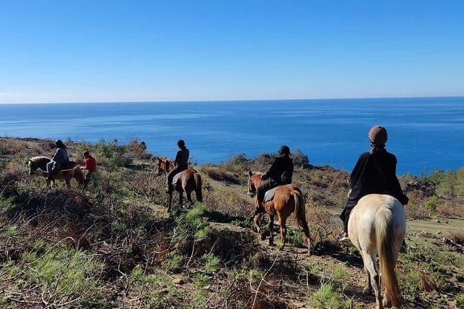 Alanya Horseback Riding in the Taurus Mountains with Transfer - Who Would Love This Tour?
