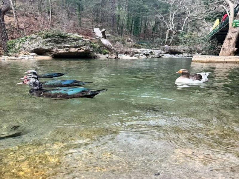 Alanya Jeep Safari: Sapadere Waterfall, Dim River &Cave Tour - Village Life, Market Visits, and Turkish Tea