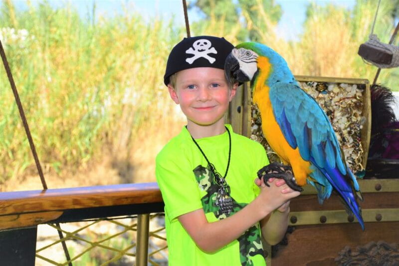 Alanya: Luxury Pirate Boat Trip w/Meal, Drinks and Pickup - Who Will Love This Trip?