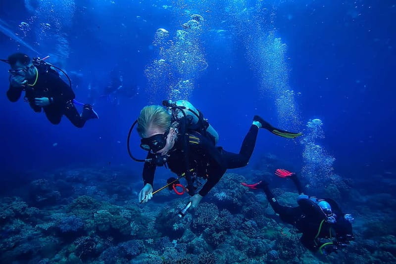 Alanya: Scuba Diving Tour with Lunch and Hotel Transfers - Key Points and Takeaways