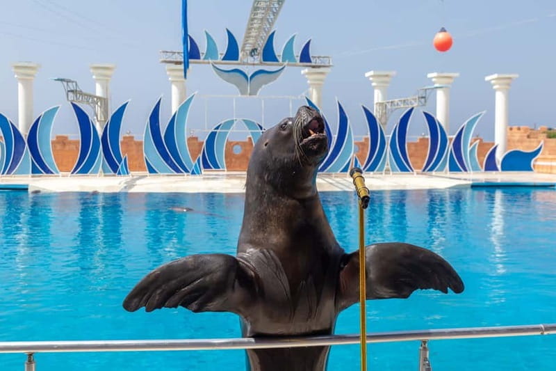 Alanya: Sealanya Dolphinpark Dolphin Show Tour - Key Points / Takeaways