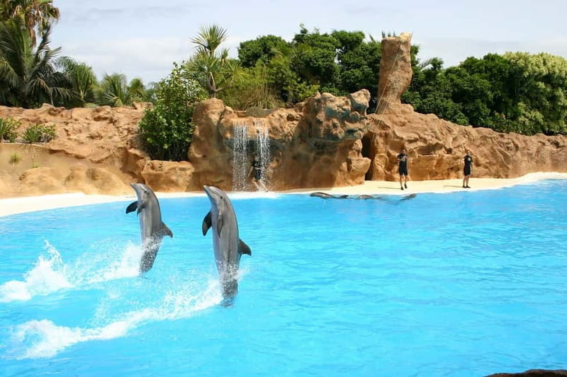 Alanya: Sealanya Dolphinpark Dolphin Show Tour - Logistics and Practicalities
