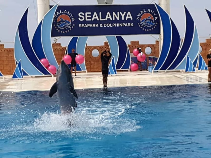 Alanya: Sealanya Dolphinpark Dolphin Show Tour - FAQ: Your Questions Answered