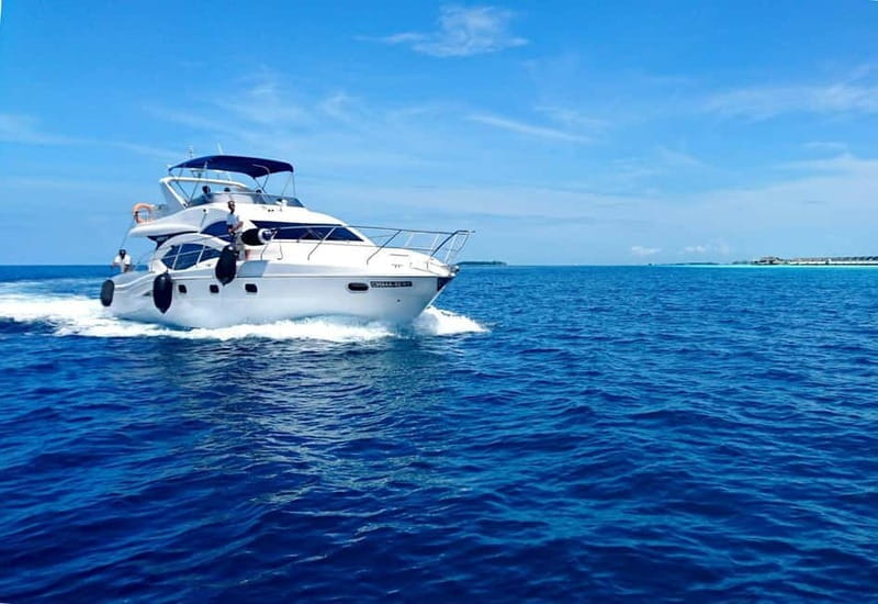 Alanya/Side/Belek:Luxury yacht tour for your special moments - Price and Logistics: Making It Work for You