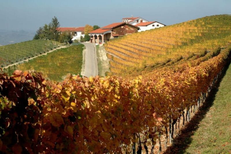 Alba: E-Bike Tour with wine tastin in cellar - Price and Value