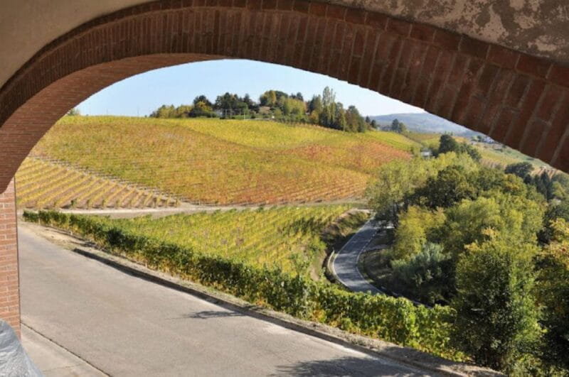 Alba: E-Bike Tour with wine tastin in cellar - The Bottom Line: Is It Worth It?