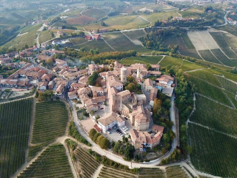 Alba: Truffle Hunting with Cheese, Truffle, & Wine Tastings - The Value of the Experience