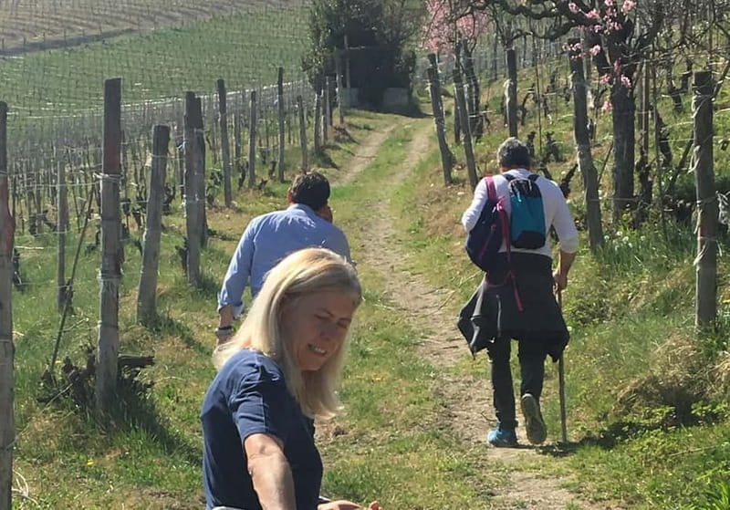 Alba: Wine Tasting and Tour with a Local Producer - Final Thoughts: Is This Tour for You?