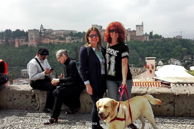 Albaicin guided tour with dogs - Key Points and Takeaways