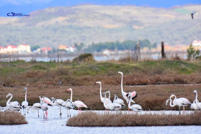 Albania Birdwatching, Kayaking, Bicycle National Park Divjaka Karavasta(ARG) - Final Thoughts: Is It a Good Deal?