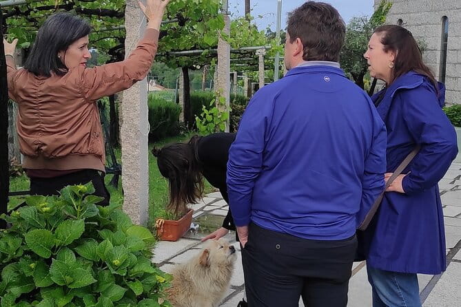 Albariño Private Sailing Wine Tour in Rias Baixas - Final Thoughts