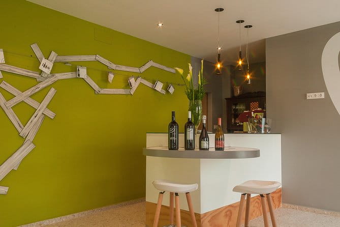 Albariño trails Private Wine Tour/Shore excursion from Vigo - Key Points / Takeaways