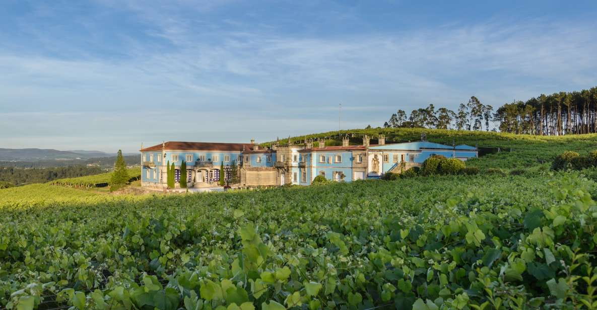 Albariño Wine Tasting With Winery Tour - Pricing Details