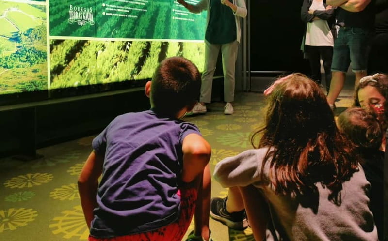 Albariño Wine Tour: Taste, Learn & Take Home a Special Gift - The Enduring Memories and Special Gifts