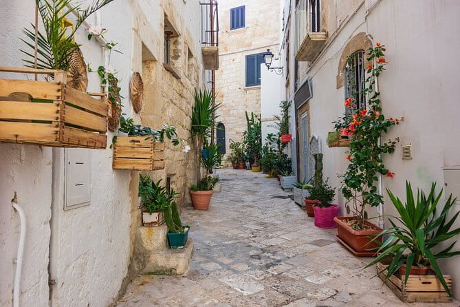 Alberobello, Castellana Caves and Polignano Guided Tour from Bari - Considerations and Practical Tips
