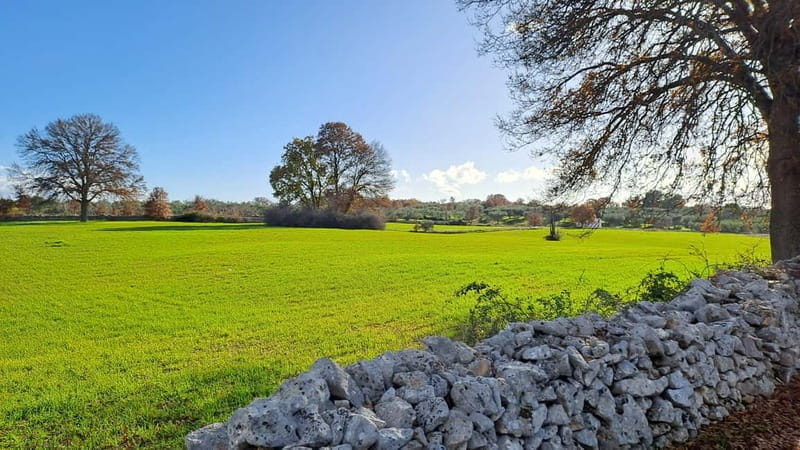 Alberobello: E-Bike Tour to Locorotondo with Ice Cream - Key points / Takeaways