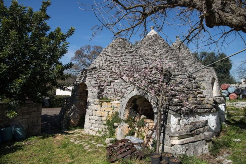 Alberobello e-bike tour, trulli, mill and donkey farm - FAQ