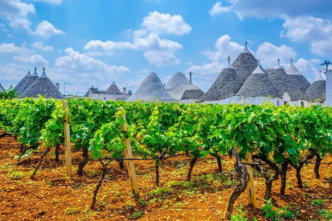 Alberobello Private Tour: Wine, Food, Trulli & Flavors of Puglia - Discovering Alberobello: The Iconic Trulli Houses