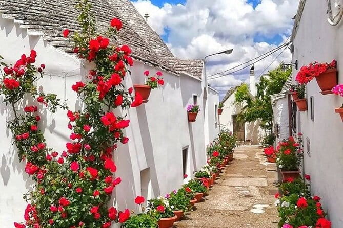 Alberobello Private Tour: Wine, Food, Trulli & Flavors of Puglia - Price and value