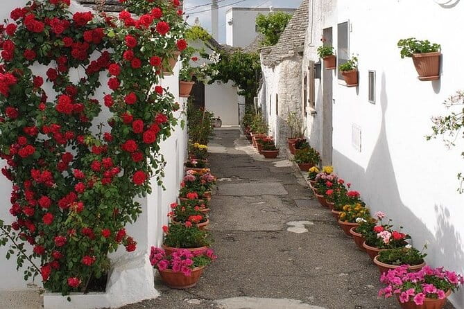 Alberobello with a local tour guide! - Entering Alberobello: A Fairy Tale Landscape