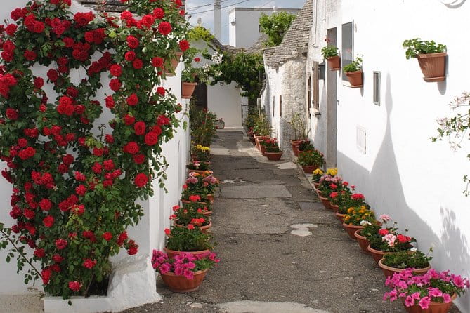 Alberobello&Ostuni&Polignano a Mare - Ostuni: The White City’s Timeless Appeal