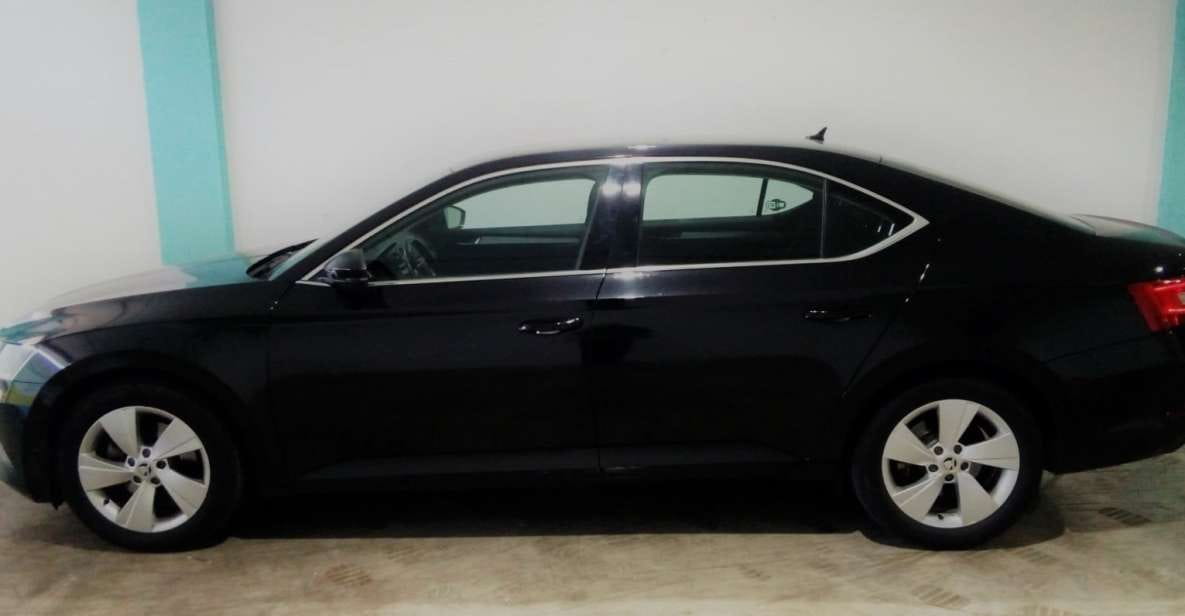 Albir: Alicante Airport (ALC) Private Transfer - Driver Qualifications