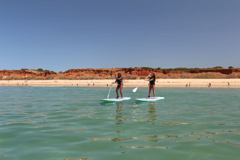 Albufeira: 1 Hour Stand-Up Paddleboard Experience - Meeting Point and Pickup