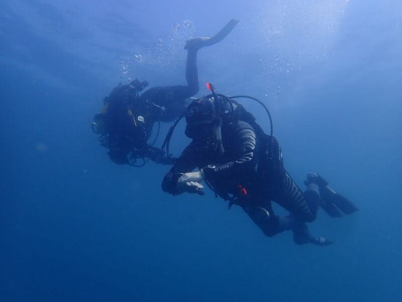 Albufeira: 2 DIVES TRIP (ONLY CERTIFIED DIVERS) - The Practicalities: What’s Included and What’s Not